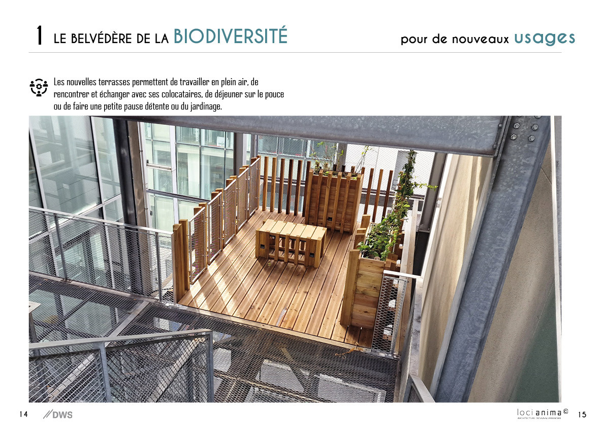 Pr&eacute;sentation du projet Rebuffat — © Loci Anima